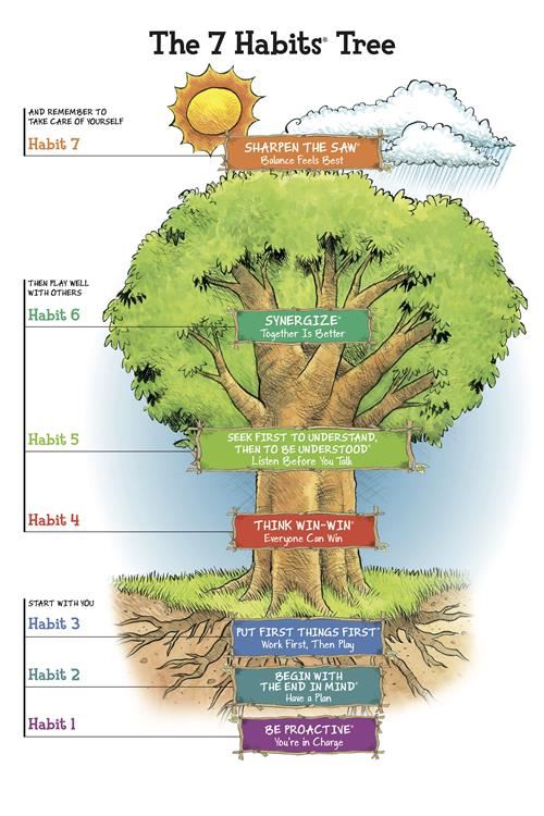 The 7 Habits Tree